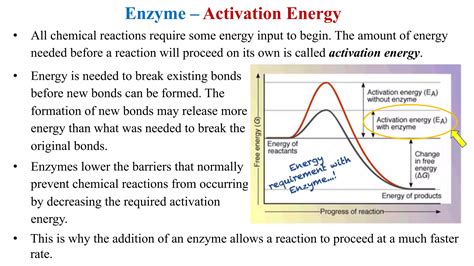 Biochemistry 的图像结果