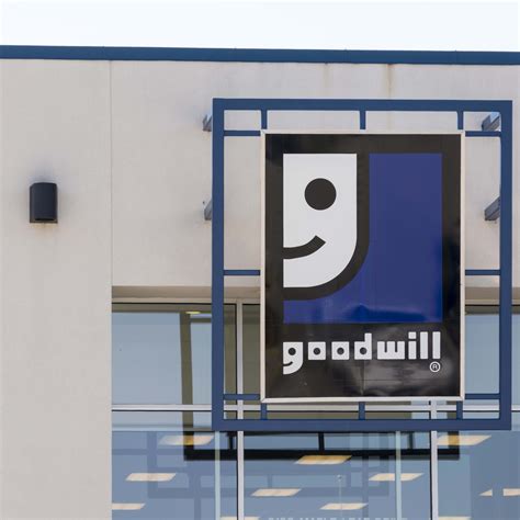 8 Types of Lilies To Showcase Beautiful Colors - Parade Home & Garden