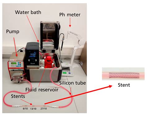 Degradation Behavior of Coated Metallic Stents: Influence of In Vitro ...