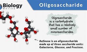 oligosaccharide 的图像结果