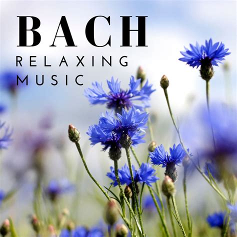 Bach - Classical Music for Relaxation - Halidon