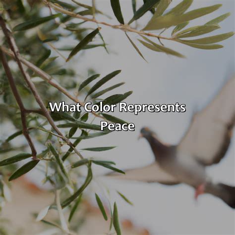 What Color Do You Get When You Mix Blue And Green - colorscombo.com