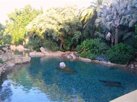 Discovery Cove - fasrmarketing