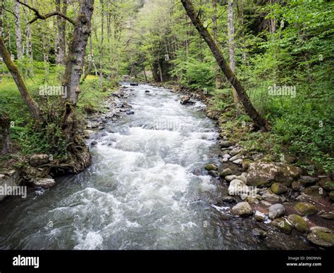 Mineral water park in Borjomi, Georgia Stock Photo - Alamy