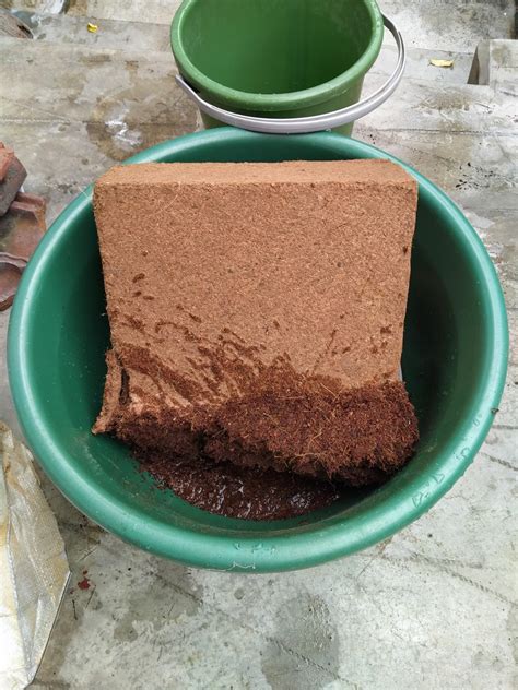 Grow Your Own Cocopeat - 5 KG Brick 100% Natural Cocopeat Block for ...