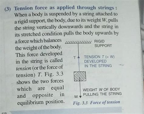 Example of Tension Force 的图像结果