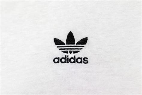 10 Best Fonts for Fitness Logos (Expert Picks)