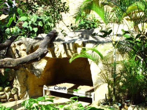 ZooLex Image - Cave