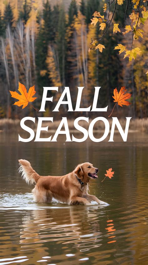 Download Fall Season Wallpaper | Wallpapers.com