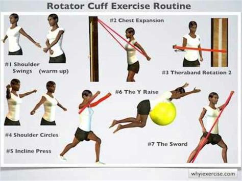 Image result for Rotator Cuff Exercises