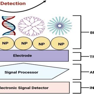 Image result for How Does a Biosensor Work