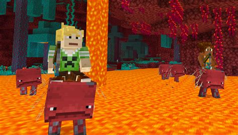 Image result for Minecraft New Nether Update