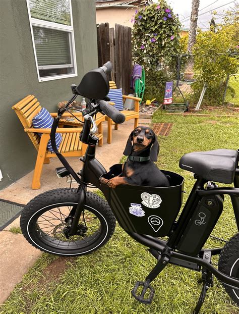 Coolest Electric Bike Yet? Testing Out The Mod Easy Sidecar