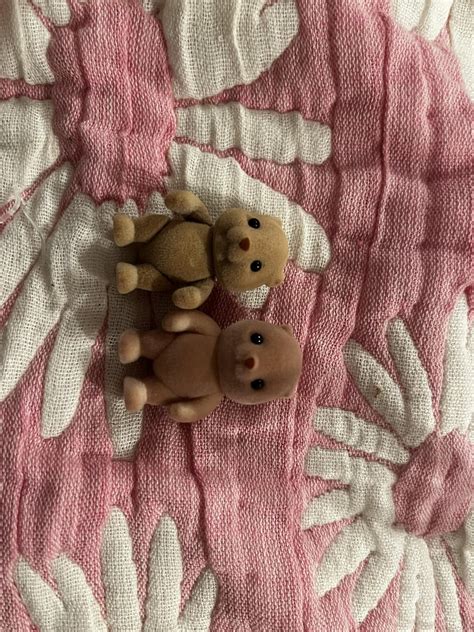 Are these 2 little guys supposed to be the same? : r/sylvanianfamilies