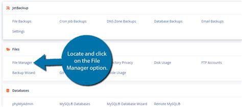 cPanel File Manager 的图像结果