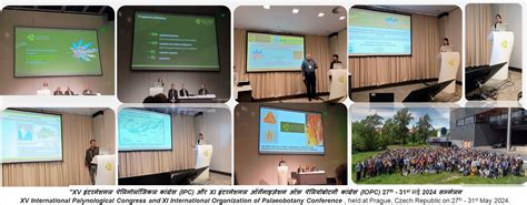 Welcome to BSIP | Birbal Sahni Institute of Palaeosciences