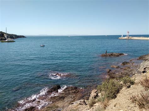 Texture Tree Sea 的图像结果