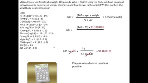 Image result for Independent Double Check Algorithm