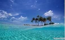 Summer Best Home Screen Wallpapers by The Most Beautiful Free Desktop Laptop Wide Screen Nature Summer Best Home Screen Wallpapers