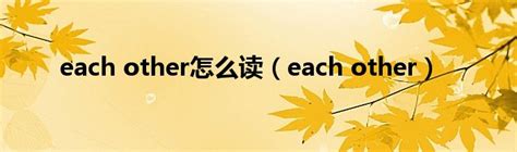 each other怎么读（each other）_新时代发展网