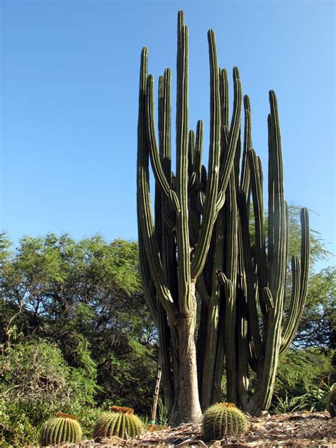 Image result for How to Pick Up Stack in Minecraft Java