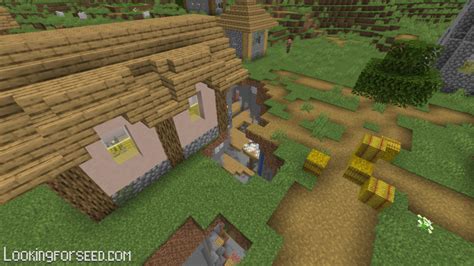 Image result for Ravine Seeds Java