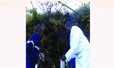 Image result for V-shape Soil Collection