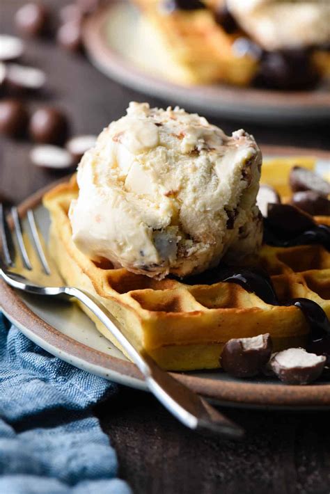 Malted Waffle Recipe | Bryont Blog