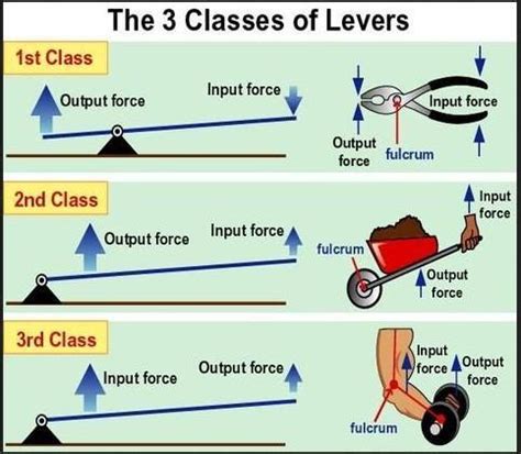 Diagram of first-class lever second-class lever and third-class lever ...