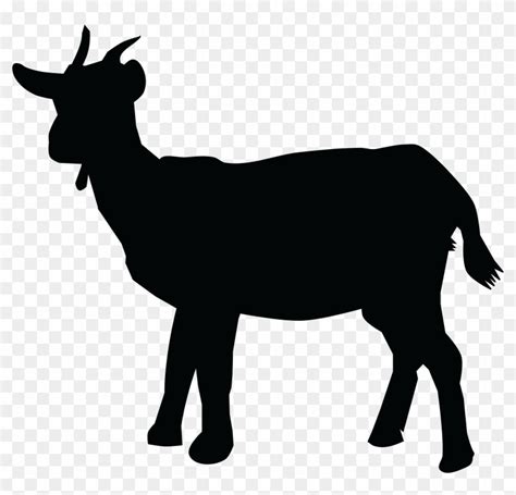 Image result for Best WA. Some Python Projects