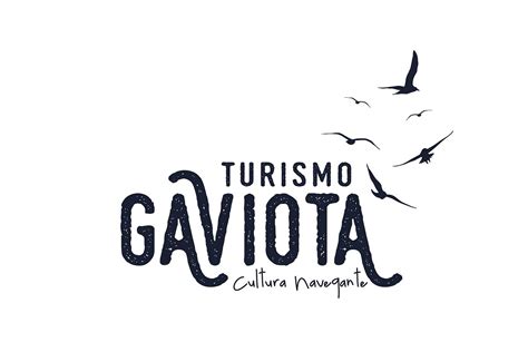 TURISMO GAVIOTA - All You Need to Know BEFORE You Go 2026 (with Photos ...