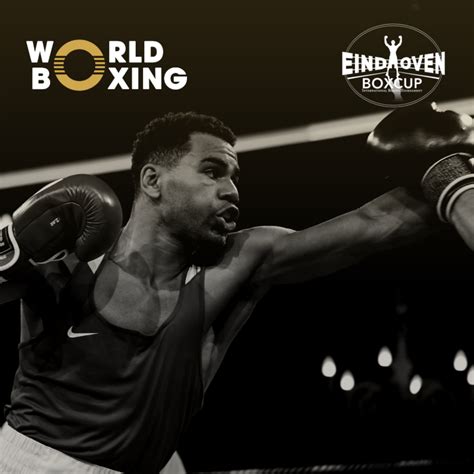 Image result for World Boxing