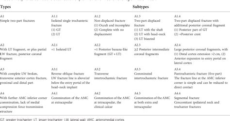 Image result for Fracture Classification System