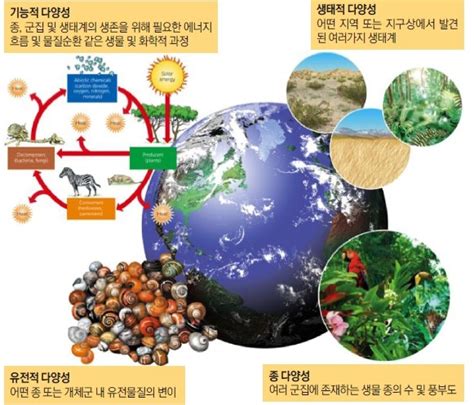 Image result for Final Year Project Computer Science
