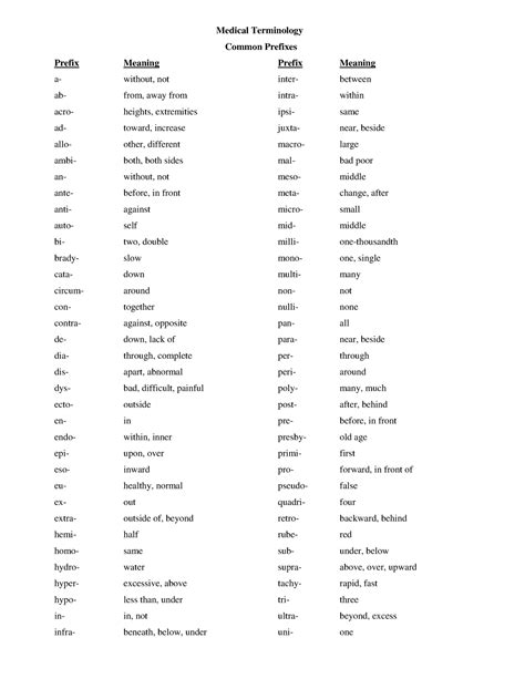 Common Prefixes and Suffixes - Medical Terminology Common Prefixes ...