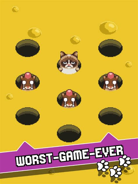 Image result for Grumpy Cat Game