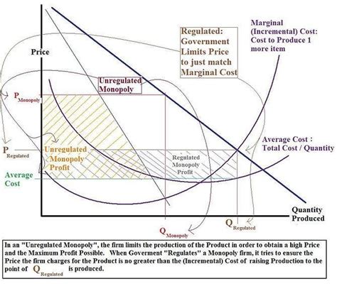 Regulated Monopoly Graph 的图像结果