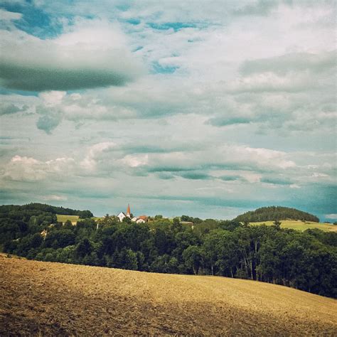 Download wallpaper 2780x2780 forest, buildings, sky, nature ipad air ...