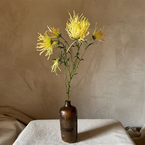 Bess Witt mum – 3 Porch Farm