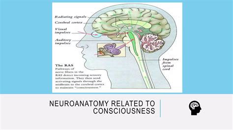 DISORDER OF CONSCIOUSNESS AND SELF | PPTX