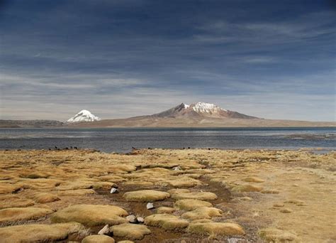 Национальный парк Вулкан Ислуга, Parque Nacional Volcán Isluga - Икике