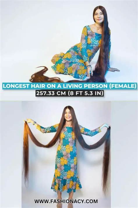 longest 的图像结果