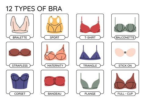 Types of colorful bras infographics. bra collection. 46426891 Vector ...