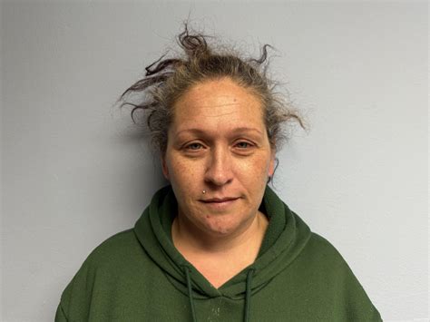 DEVINE ANGELA MARIE 02/20/2025 - Etowah County Mugshots Zone