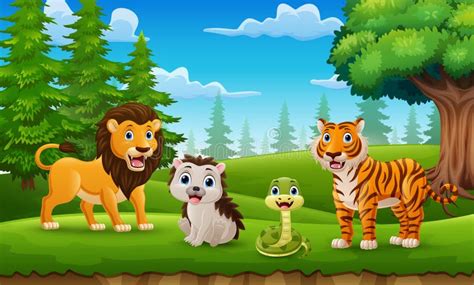 Animal Cartoons 的图像结果