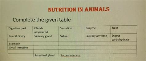 pls answer the question correctly - Brainly.in