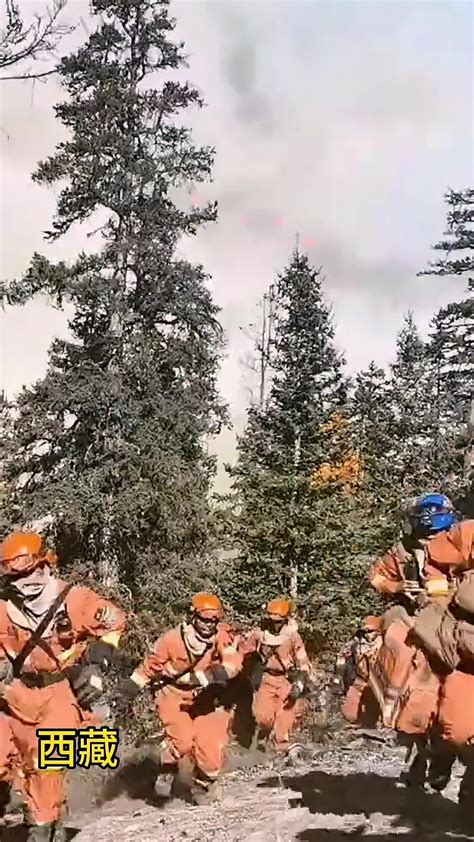 森林消防员在处置山火时风向突变，队员紧急撤离-直播吧