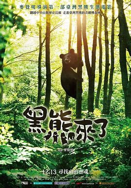【生物多樣性的美好日常】台灣黑熊小學堂 重返山林的南安小熊 | 環境資訊中心