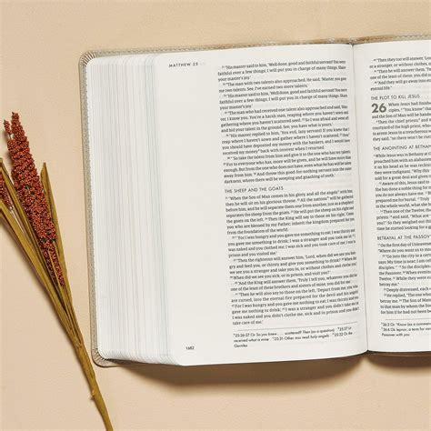 CSB She Reads Truth Bible, Champagne Gold LeatherTouch - Seacoast Bookstore