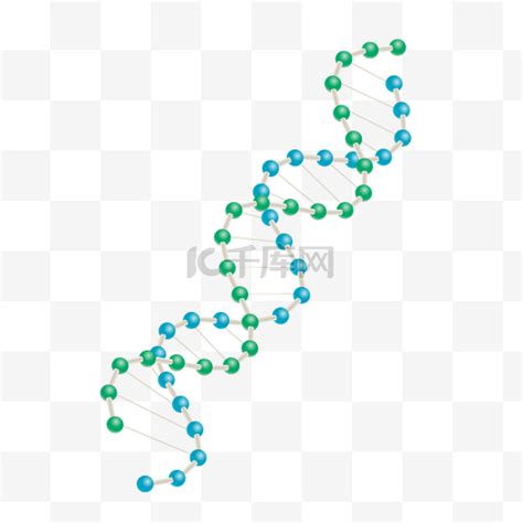 DNA双螺旋结构元素素材下载-正版素材401584590-摄图网